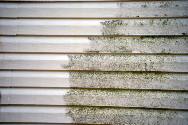 Best Stucco Siding  in King, WI